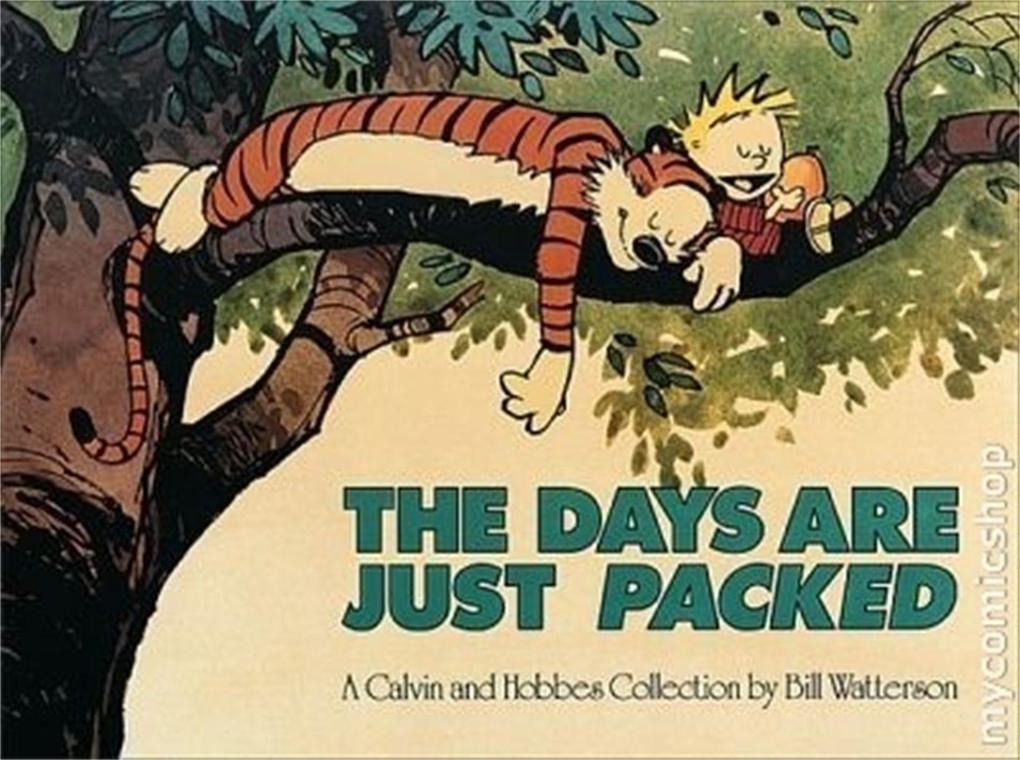 Calvin and Hobbes. The Days Are Just Packed von Little Brown Book Group