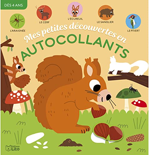 Mes petites découverte en autocollants - Les animaux de la forêt - Dès 4 ans von Editions Lito