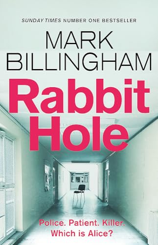 Rabbit Hole: The Sunday Times number one bestseller von LITTLE, BROWN