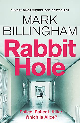 Rabbit Hole: The new masterpiece from the Sunday Times number one bestseller von LITTLE, BROWN