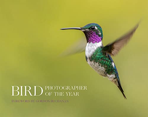 Bird Photographer of the Year von William Collins