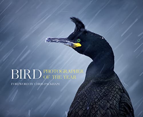 Bird Photographer of the Year: Foreword by Chris Packham