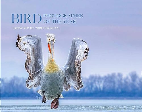 Bird Photographer of the Year: Collection 4