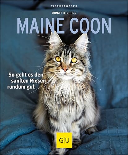 Maine Coon: So geht es den sanften Riesen rundum gut (GU Katzen)