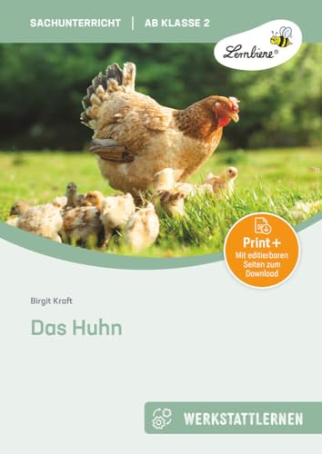 Das Huhn: (2. und 3. Klasse) von Lernbiene Verlag GmbH