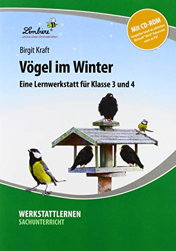 Vögel im Winter: (3. und 4. Klasse)