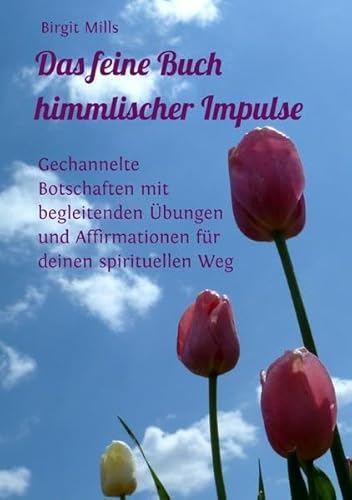 Das feine Buch himmlischer Impulse: Gechannelte Botschaften mit begleitenden Übungen und Affirmationen für deinen spirituellen Weg