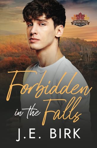 Forbidden in the Falls (Devon Falls, Band 2)