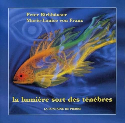 La lumière sort des ténèbres von FONTAINE PIERRE