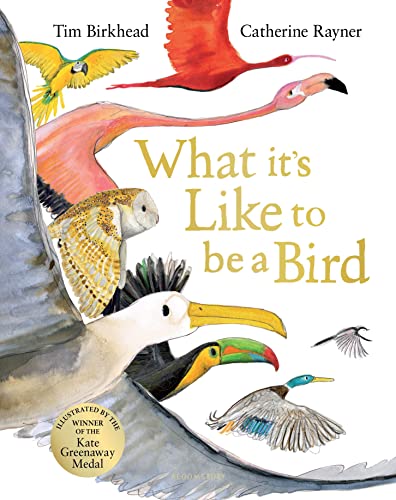 What it's Like to be a Bird von Bloomsbury Children's Books