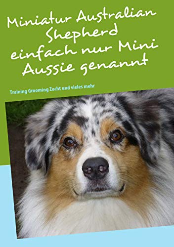 Miniatur Australian Shepherd: Training Grooming Zucht und vieles mehr