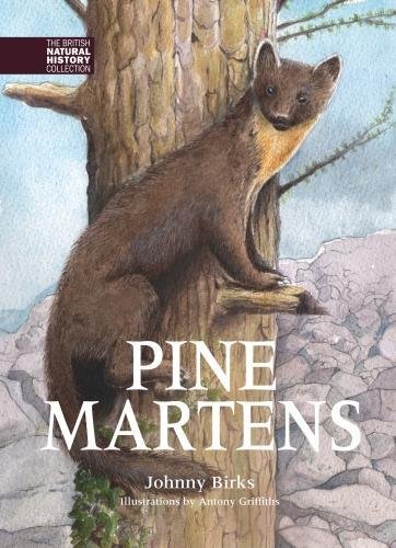 Pine Martens (The British Natural History Collection, Band 8) von Whittet Books Ltd