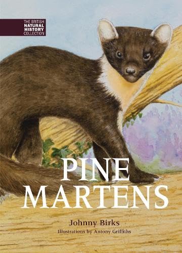 Pine Martens (The British Natural History Collection, Band 8) von Whittet Books Ltd