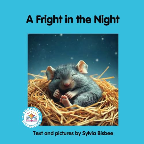 A Fright in the Night (Surprise Decodables Light Blue Level 5) von Surprise Decodables
