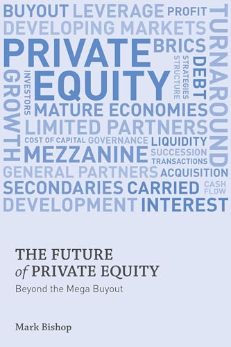 The Future of Private Equity: Beyond the Mega Buyout