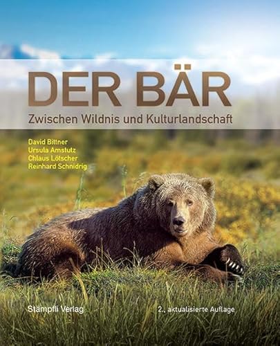 Der Bär: Zwischen Wildnis und Kulturlandschaft
