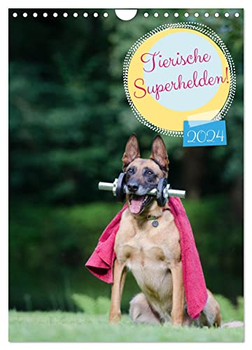 Tierische Superhelden (Wandkalender 2024 DIN A4 hoch), CALVENDO Monatskalender: Lustige und außergewöhnliche Hunde in ihrem Element (CALVENDO Tiere) von CALVENDO