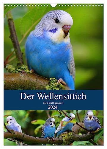 Der Wellensittich - Mein Lieblingsvogel (Wandkalender 2024 DIN A3 hoch), CALVENDO Monatskalender