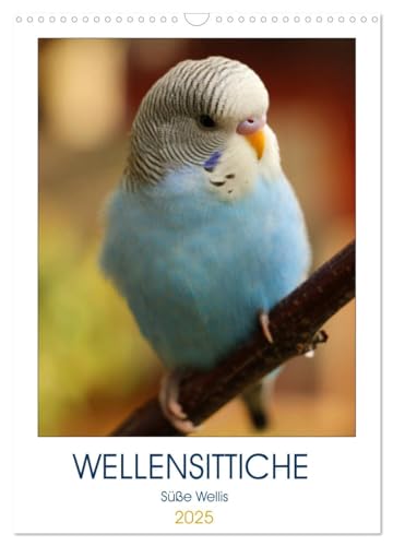 WELLENSITTICHE - Süße Wellis (Wandkalender 2025 DIN A3 hoch), CALVENDO Monatskalender von CALVENDO