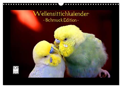 Wellensittichkalender - Schmuck Edition (Wandkalender 2025 DIN A3 quer), CALVENDO Monatskalender von CALVENDO