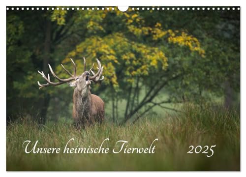 Unsere heimische Tierwelt (Wandkalender 2025 DIN A3 quer), CALVENDO Monatskalender von CALVENDO