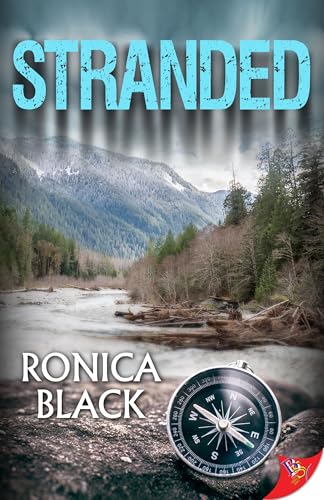 Stranded von Bold Strokes Books
