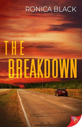 The Breakdown von Bold Strokes Books