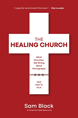 The Healing Church: What Churches Get Wrong about Pornography and How to Fix It
