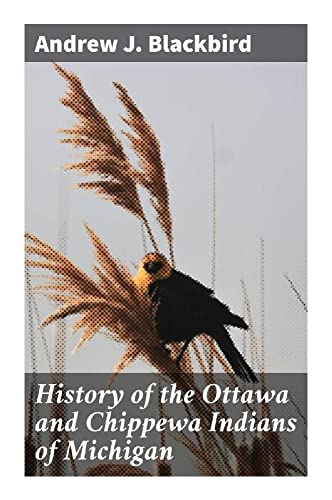 History of the Ottawa and Chippewa Indians of Michigan: A Grammar of Their Language, and Personal and Family History of the Author von Good Press