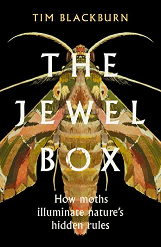 The Jewel Box: How Moths Illuminate Nature’s Hidden Rules von W&N