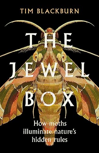 The Jewel Box: How Moths Illuminate Nature’s Hidden Rules von Weidenfeld & Nicolson