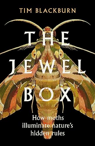 The Jewel Box: How Moths Illuminate Nature’s Hidden Rules