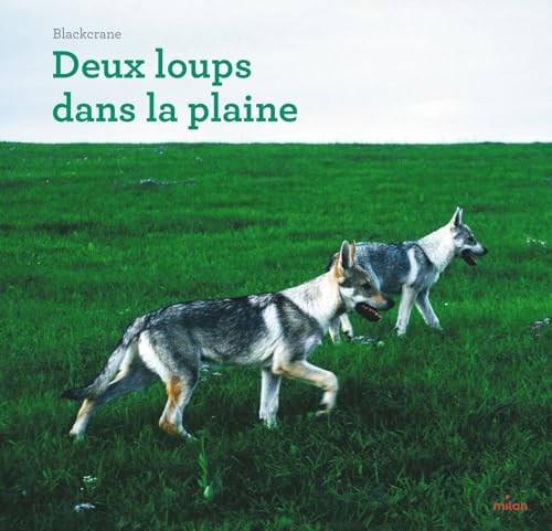 Deux loups dans la plaine von MILAN