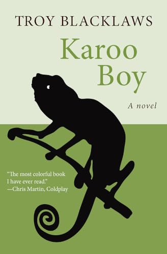 Karoo Boy: A Novel von Open Road Media