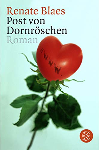 Post von Dornröschen: Roman (Die Frau in der Gesellschaft) von FISCHER Taschenbuch
