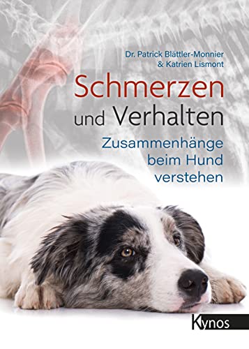 Schmerzen und Verhalten: Zusammenhänge beim Hund verstehen von Kynos