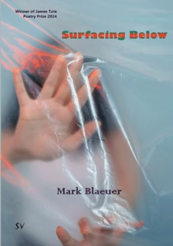 Surfacing Below von SurVision Books