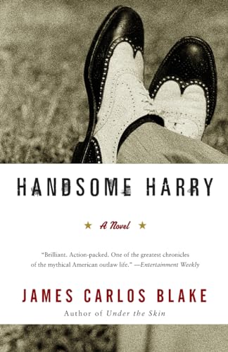 Handsome Harry: A Novel
