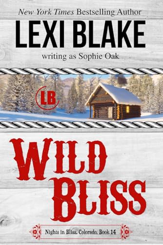 Wild Bliss (Nights in Bliss, Colorado, Band 14) von DLZ Entertainment