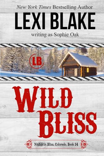 Wild Bliss (Nights in Bliss, Colorado, Band 14) von DLZ Entertainment