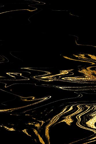 Black and Gold Marble Composition Notebook - Small Ruled Notebook - 6x9 Lined Notebook (Softcover Journal / Notebook / Diary) (6x9 Lined Softcover Notebook, Band 121) von Sheba Blake Publishing