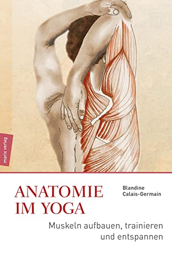 Anatomie im Yoga: Muskeln aufbauen, trainieren und entspannen