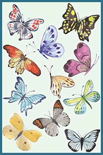 Notitieboek Vlinders: Kleurrijk, gelinieerd, 120 pagina's, 15.24 x 22.86 cm (ongeveer A5), zachte kaft
