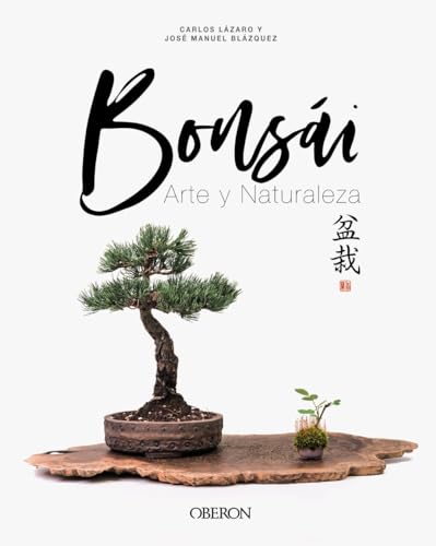 Bonsái: Arte y Naturaleza (Libros singulares) von ANAYA MULTIMEDIA