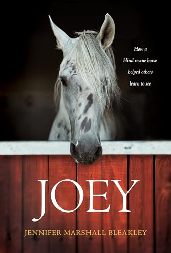 Joey: How a blind rescue horse helped others learn to see