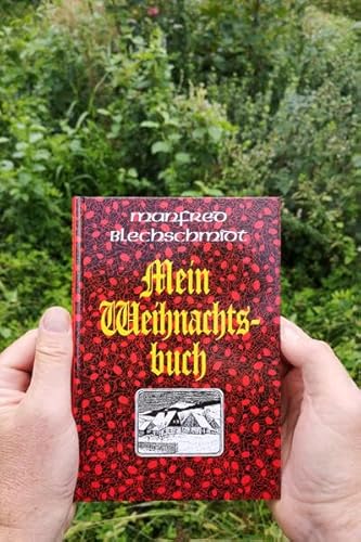 Mein Weihnachtsbuch: Von Wald, von schneebedeckten Dörfern und der Adventszeit