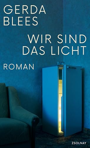 Wir sind das Licht: Roman