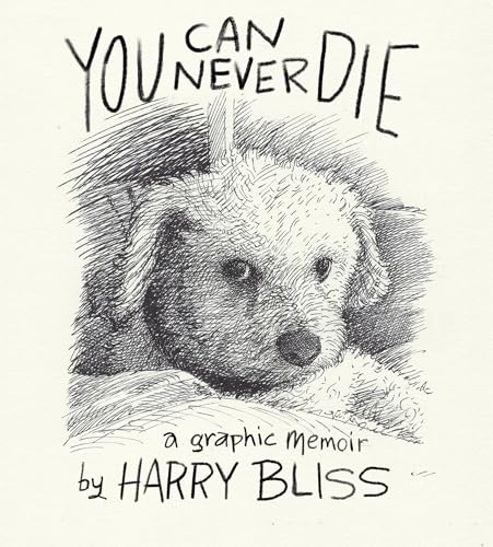 You Can Never Die: A Graphic Memoir You Can Never Die: A Graphic Memoir von Castle Point Books
