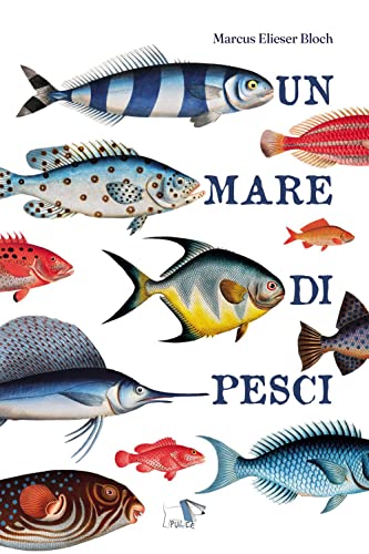 Un mare di pesci. Ediz. a colori Un mare di pesci. Ediz. a colori