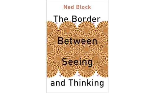 The Border Between Seeing and Thinking: A Chronical of 500 Days (Philosophy of Mind) von OUP USA
